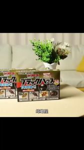 FREESHIP 12 viên thuốc diệt gián nhật bản cực kì hiệu quả - (KHÔNG MÙI) an toàn Cho Con Người Và Vật Nuôi