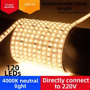 PAIMIJI | Waterproof Outdoor LED Light Strip 220V Warm White