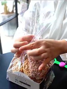 BOSSLU 1PC Klip Penyegel Makanan Tali Pengikat Sealer Kantong Plastik Makanan Adjustable