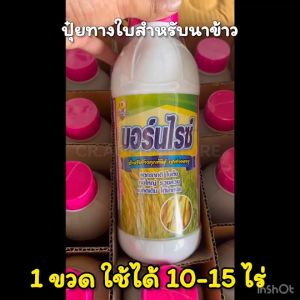 บอร์นไรซ์  ฮอร์โมนข้าว ปุ๋ยน้ำ (บำรุงข้าวทุกสายพันธุ์) สำหรับข้าว ข้าวงาม เขียวไว ต้นแข็งแรง รวงใหญ่ ขนาด 1 ลิตร พ่นได้15ไร่
