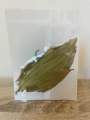 Bay Leaves ใบเบย์. 