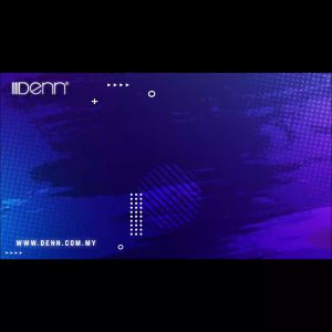 Denn SE-535REC AC/DC Portable PA Voice Record System