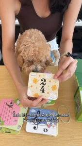 AUTHORIZED DISTRIBUTOR - FEEL MUSIC FLASHCARDS