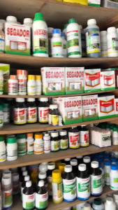 Souji Herbicide 200 OD - 500mL / Herbicide for rice