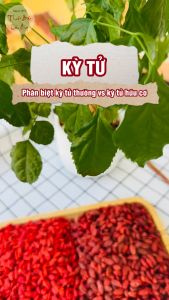 Kỳ tử Ninh Hạ 1kg hạt kỷ tử hữu cơ hạt to ngọt pha trà hầm canh nấu chè dưỡng nhan