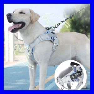 [Stock Ready] Dog Harness Rubber Grip Adjustable Durable Comfortable Dog Walking medium big中大狗狗牵引绳 宠物胸背带