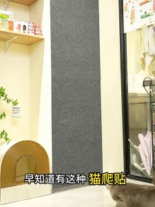 Panduan Membeli Karpet Garukan Kucing & Pelindung Sofa Anti Gores