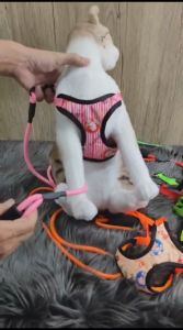 Pet Harness Dog Cat Vest Set / Rompi Anjing Kucing 1 Set Tali - Motif