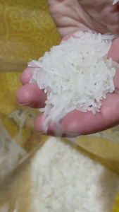 Golden Dragon Premium Well-Milled Rice 10kg | Mabango