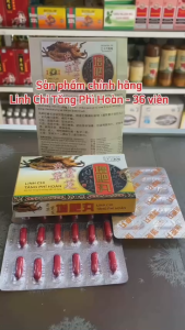 Linh Chi Tăng Phì Hoàn Hộp Vĩ 36 Viên Malaysia Hỗ trợ tăng cân