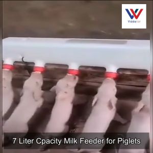 6-Slot Piglet milk feeder feeding tools piglet automatic pig milk feeder livestock Farm Tool