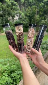 Dây Buộc Tóc Nữ Hàn Quốc 20 Sợi Cao Cấp – Thun Buộc Tóc Co Giãn Dây Cột Tóc Nhiều Kiểu Xinh Hộp Trụ