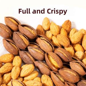 Shelled Torreya Nuts 500g