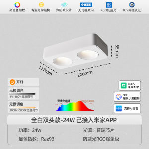 Đèn Hở Siêu Mỏng Hai Đầu Chống Mờ Không Có Đèn Chủ Đề Chiếu Sáng Phòng Khách Phòng Ngủ Hộp Vuông Đèn LED Đèn LED