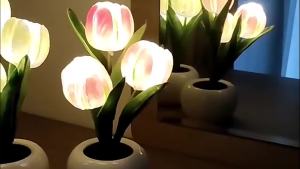 Đèn LED Hoa Tulip Cảm Ứng Mờ Mờ Mô Phỏng Hoa Để Bàn Có Nút Điều Khiển Phòng Trang Trí Bàn Quà Tặng Cho Bạn Gái
