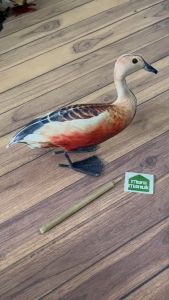 Patung Jontrot Burung Belibis Kembang Plus Jerat 22 Mata BONUS kerincingan / Decoy Belibis + Jerat Panjang 2 meter 22 mata