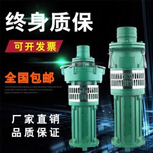 National Standard QY Immersed Oil Pump 380V Deep Well Irrigation Industrial Farming Drainage High Flow 2.2-37KW Cast Iron Electric