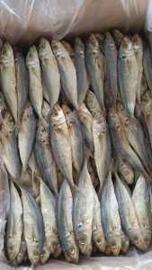 Ikan asin pesisir PEDA LAYANG/ klotok termurah 1kg terlaris