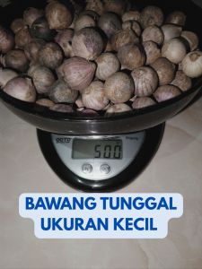 Bawang Putih Tunggal/Bawang Lanang/Asli tanpa campuran fresh impor China Ukuran Kecil