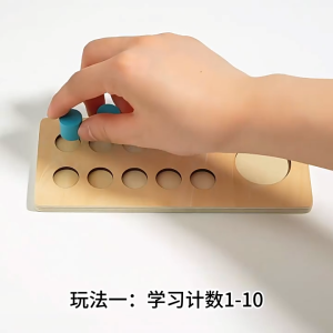 [SG Stock] Wooden Ten Frame Math Set Counting Addition Subtraction Learning Toy for Preschool Kids 3+