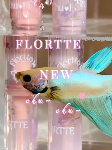 FLORTTE Nice To Meet Chu Jelly Lipstick Lip Balm Lipstick Pen Moisturizing Lasting