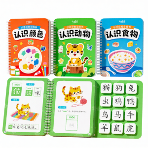 XIAOWANDOU | Illustrated Word Recognition Childrens Book 2 to 6 Years
