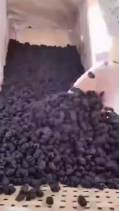 [HALAL] Premium Dried Mulberries | Natural Snack for Lower Cholesterol Blood Sugar Balance & Immune Support