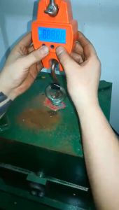 Mini Crane Scale 300kg Capacity with Stainless Steel Hook and LCD Display