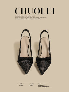 CHUOLEI | Spring Fashionable Lace-Up Pointed Toe Shoes