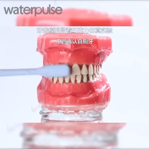 Dental Oral Irrigator Water Flosser Pick for Teeth Cleaner Thread Mouth Washing Machine 5 Nozzles 300ml Dental Floss Jet