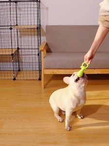 Premium TPR Dog Toy Bite Dog Chew Toy Puppy Toy Cat Toy Cat Toys For Cats Pet Toy Pet Toys For Cat Dog Toys For Bite 狗狗玩具 宠物玩具 猫玩具