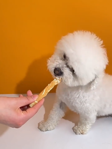 Bánh thưởng cho Chó thịt gà bọc canxi sữa bánh thưởng huấn luyện thú cưng - Love Pets Shop