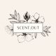 Scent Out Shop