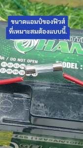 ฟิวส์หลอดแก้ว Wireman สั้น ยาว 30 มม. สำหรับ 0.5A - 30A 250V ขนาด 0.5A - 30A 250V