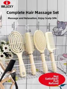 IMLUCKY | Volume Enhancing Portable Paddle Brush with Cushion