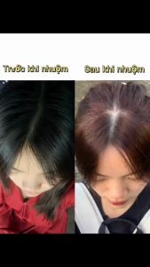 Kem Nhuộm Nâu Hạt Dẻ Chai Lược Lucky Star