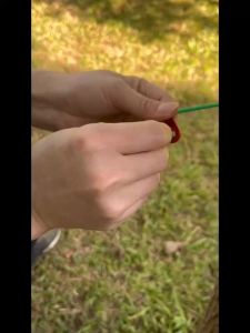 4pcs Reflective Tali Tenda Flysheet 4mm * 4m+ Pengencang Tali Tenda Aluminium Untuk Camping