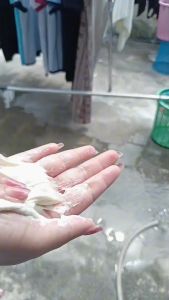 สครับน้ำตาล สครับสครับ สคับ สคับก้อนน้ำตาล สคับน้ำตาล สครับเมือกหอยทาก 1฿ 50ก้อน (แพ็คสำเร็จ)