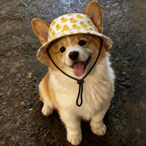 Petone dOrage | Sun Hat for Dogs Visor Fishing Style