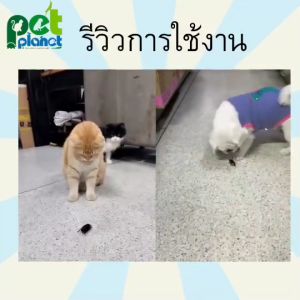 ของเล่นแมว ของเล่นสูงสุด ของเล่นสูงสุด 6x3x3 แมลงสาบหยอกแมว แมลงสาบอัตโนมัติ ของเล่นแกล้งหมา สำหรับ แมว และ สูงสุด