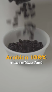 เมล็ดกาแฟคั่วอาราบิก้า วอช(Wash process ) และ ฮั่นนี่(Honey process) สด แท้ แบรนด์ไร่พระจันทร์ มีอย. (Arabica กาแฟ เมล็ดกาแฟ กาแฟคั่ว แท้สด)