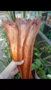 1 Kg Khô Cá Lạc Tẩm Cà Mau 250gr 500gr Khô Cá Lạc Tẩm Cà Mau- ĐẶC SẢN MINH TRIẾT CÀ MAU