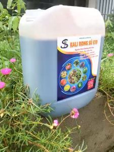 Can 10 Lít KALI RONG BIỂN K10: Giảm Rụng Hoa Trái non Hoa Thơm Qủa Ngọt