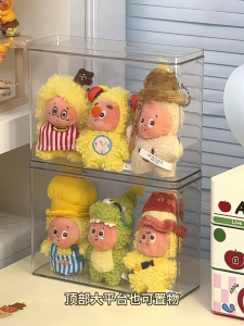 Twinkle Twinkle Display Storage Box Transparent Toys Figurine Pop Mart Dustproof Hang  星星人盲盒收纳透明展示盒