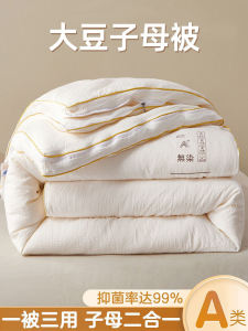 Dowry Fiber Zipper Style Thickened Winter Quilt Antibacterial Cotton Quilt Double Letter Core Mother And Baby Quilt Four Seasons