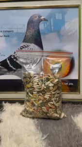 Big Parrot Mix (FRUITS/SEEDS/PELLETS) For Medium & Large Birds