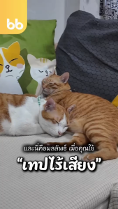 เทปไร้เสียง little sky☁️(ยกแถว) 6 ม้วน 2 นิ้ว 45 หลา น้องหมา🐶ก้อนเมฆ น้องแมว🐱ก้อนเมฆ no noise เทปกาว