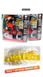 Alice A306 Senar Gitar Akustik Silver Plated