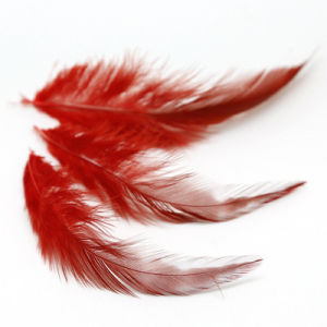 Long Feather Earrings DIY Materials Chicken Feathers Handmade Craft 100 Pieces Bulk Price Fashion Jewelry Accessories