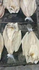 KHÔ CÁ RÚN NẤU SIMLÔ LÀM CƠM CHIÊN MẶN THƠM NGON LOẠI 1 - VỰA KHÔ MINH TRIẾT